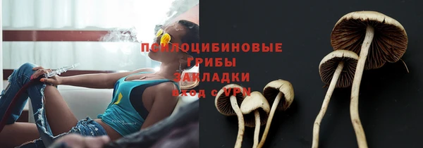 PSILOCYBIN Алзамай