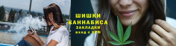PSILOCYBIN Алзамай